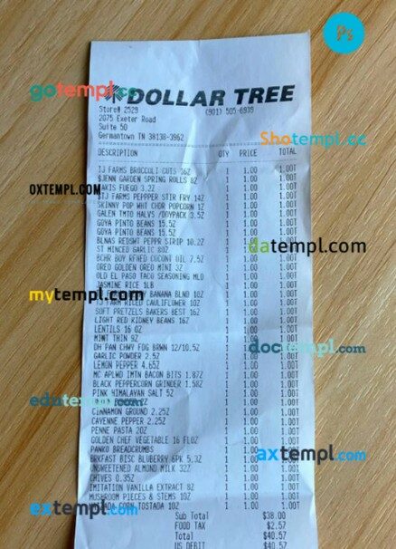 Dollar tree store payment receipt PSD template