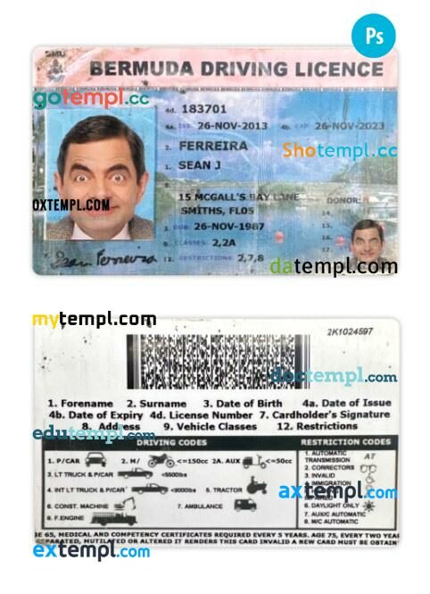 Bermuda driving license PSD editable template
