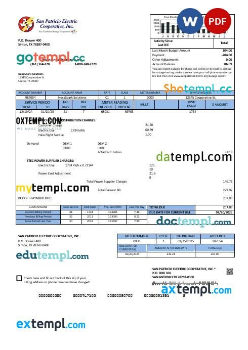USA Texas San Patricio Electric Corporative business utility bill template in Word and PDF formats