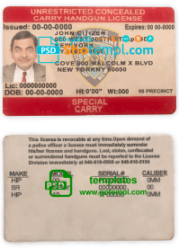 United States New York state unrestricted concealed carry license template in PSD format