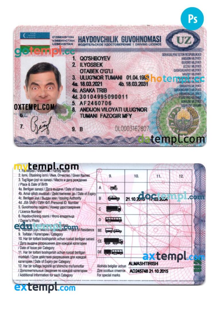 Uzbekistan driving license PSD editable template, 2021-present